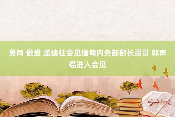 男同 做爱 孟建柱会见缅甸内务部部长哥哥 郭声琨进入会见