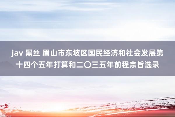 jav 黑丝 眉山市东坡区国民经济和社会发展第十四个五年打算和二〇三五年前程宗旨选录